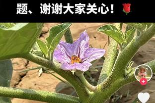 20岁297天！穆西亚拉达成德甲第100场 队史最年轻&德甲第4年轻